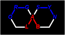 Synthetic Organic Chemistry